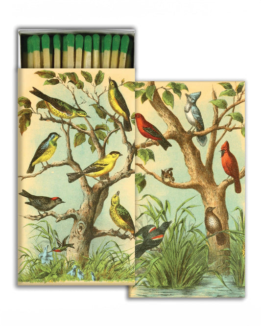 Bird Studies Matches