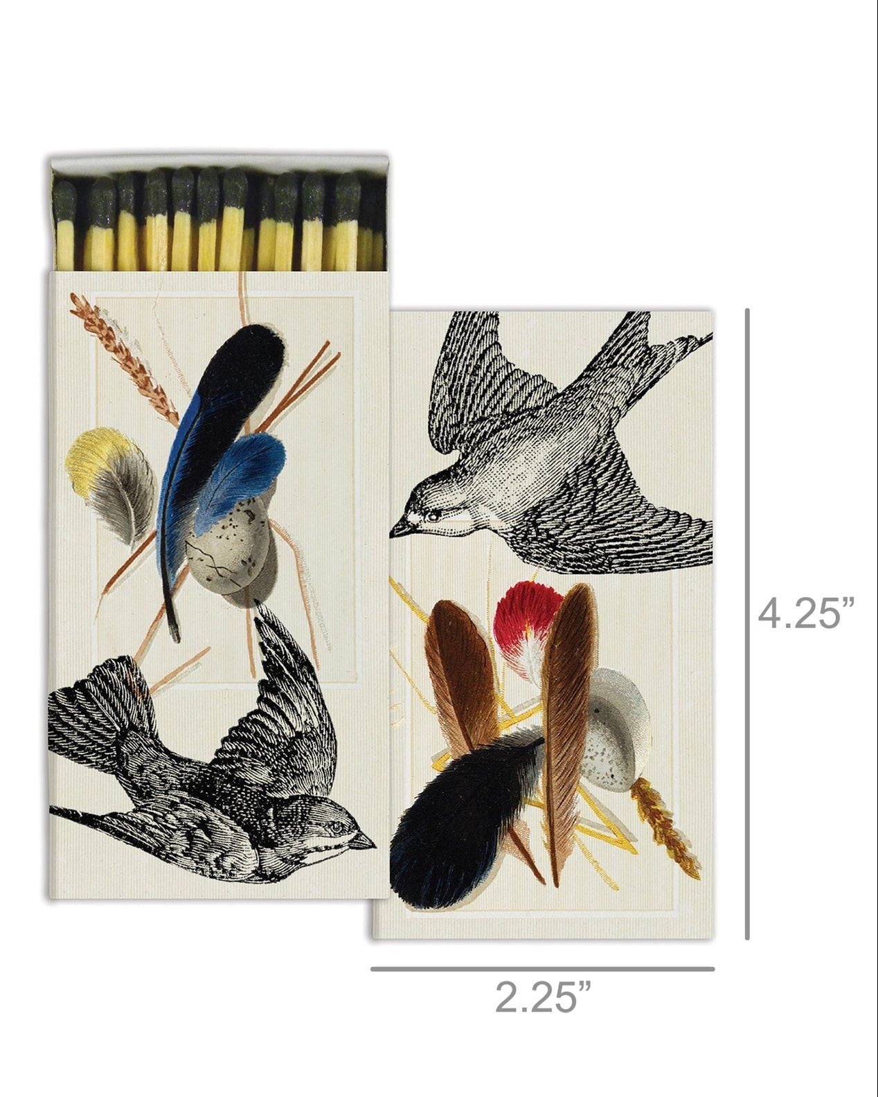 Matches ~ Sparrows & Specimens