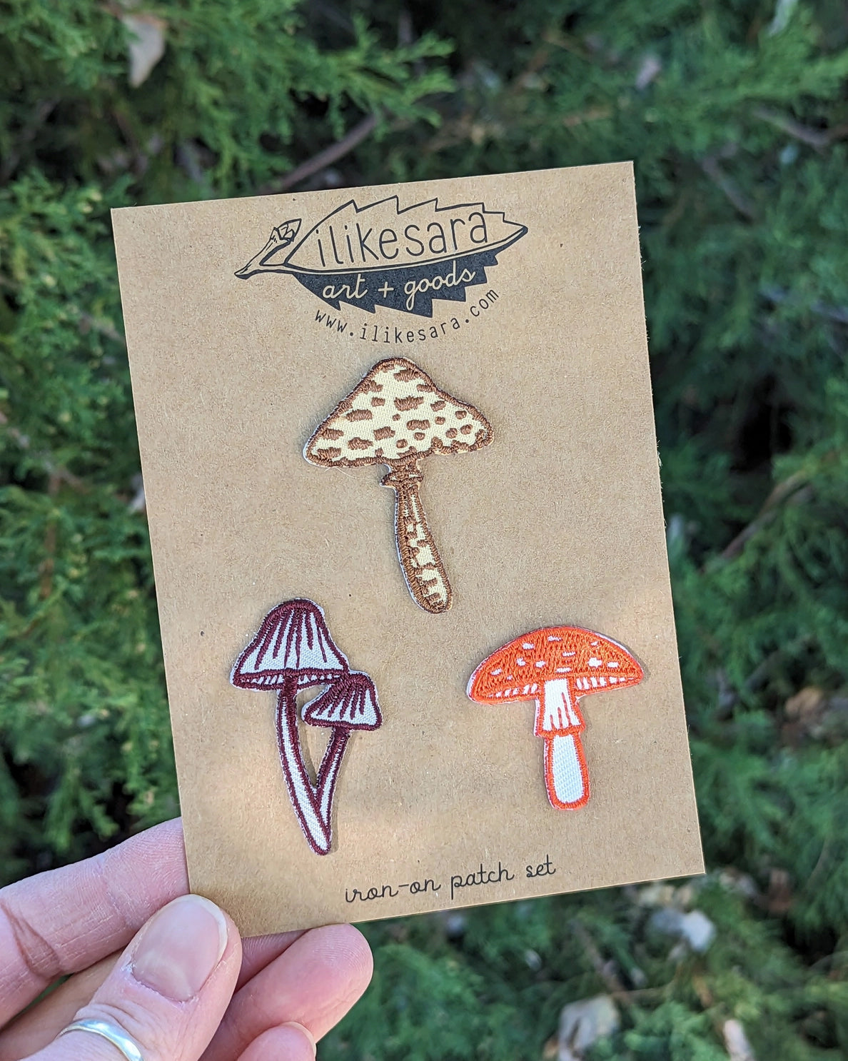 Mushroom 3 Pack of Patches